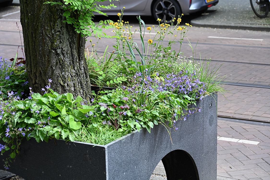BLOOMBOX